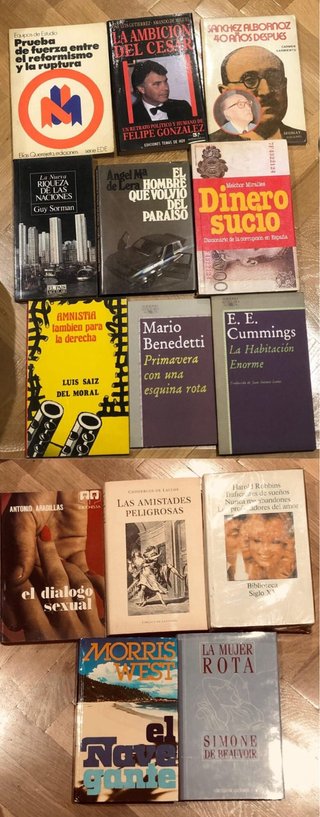OFERTA! Gran lote de 13 libros.. Todos 10€