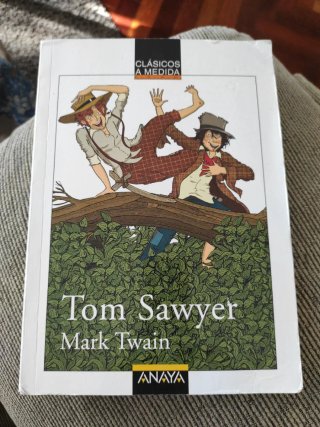 Las aventuras de Tom Sawyer