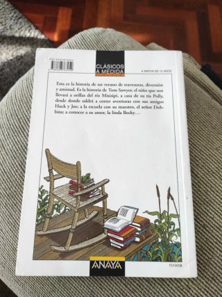 Las aventuras de Tom Sawyer