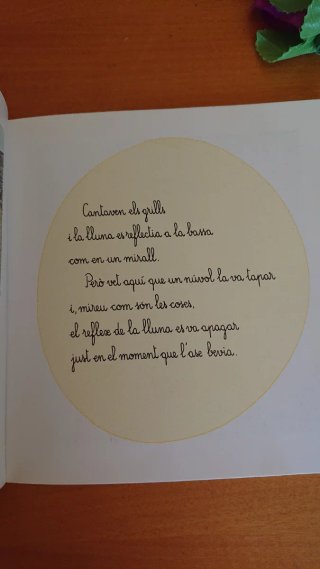 La bruixa endreçada (La Sirena) (Catalan Edition)
