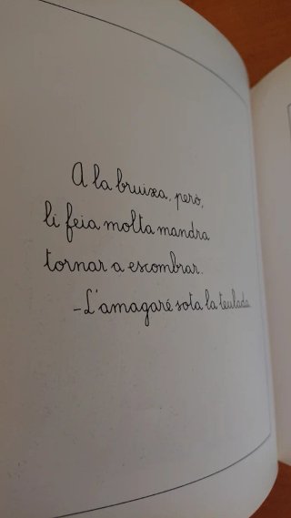 La bruixa endreçada (La Sirena) (Catalan Edition)