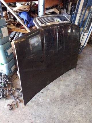 Capot Skoda Octavia 2005 Negro