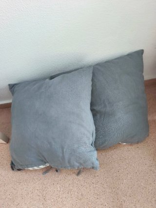 2 Cojines Grandes de Lino Gris