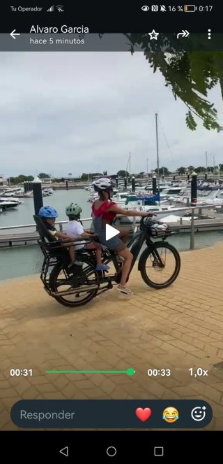 Bicicleta Eléctrica Bergamont E-cargoville LT Bosh