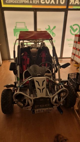 Buggy PGO 250