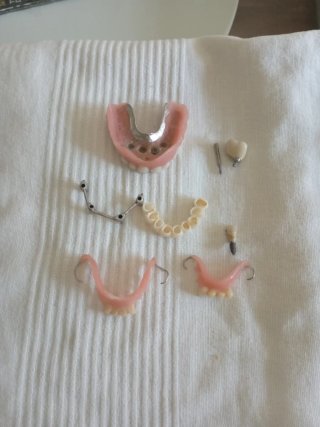 Lote de Muestras y Prótesis Dentales