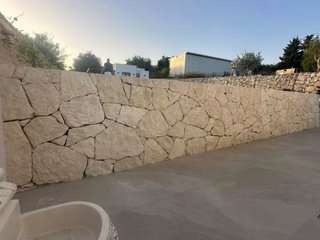 Albañil profesional