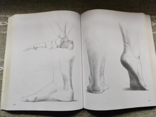Libro Anatomía Humana para Artistas