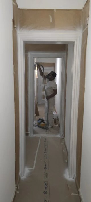 pintor economico profesional