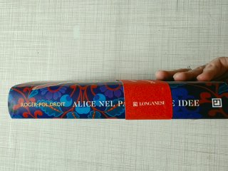 Alice nel Paese delle idee