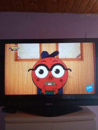 TV Plasma Panasonic 42 + TDT