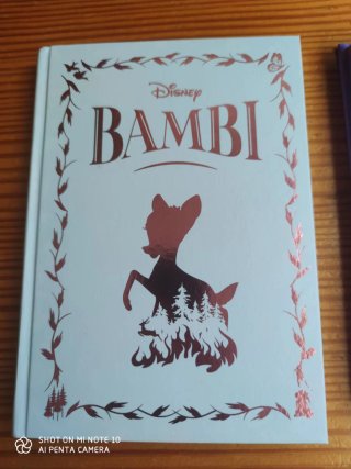 Libros novelas inolvidables Disney