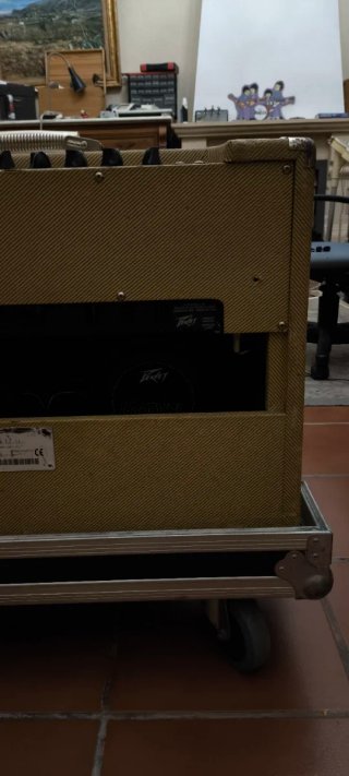 Amplificador Peavey Classic 50