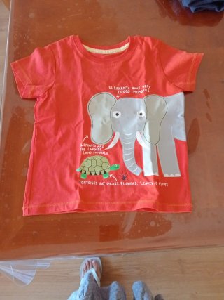 Lote Ropa Niño 4-6 Años