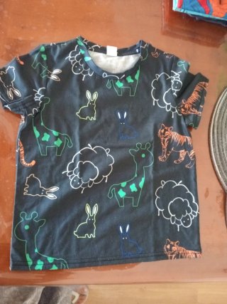 Lote Ropa Niño 4-6 Años