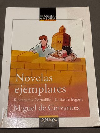 Novelas ejemplares