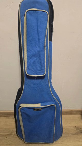 Guitarra Eléctrica Epiphone Les Paul Special-II