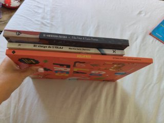 Lote libros infantiles