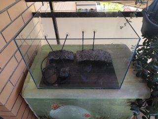 Tortuguera, Pecera o Terrarium de Cristal 33x50cm