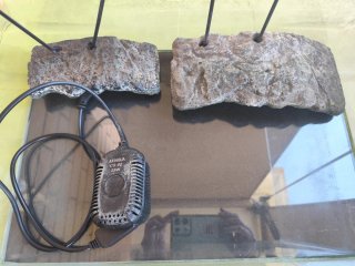 Tortuguera, Pecera o Terrarium de Cristal 33x50cm