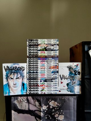 Vagabond 1-26