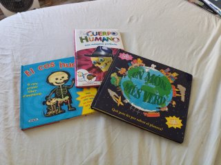 Lote libros infantiles