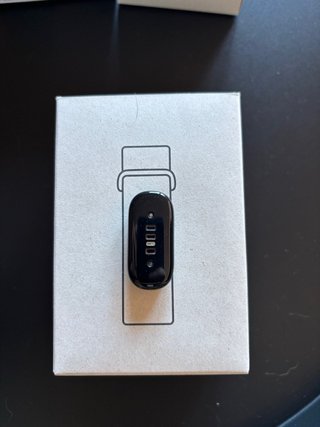 Google Fitbit Air