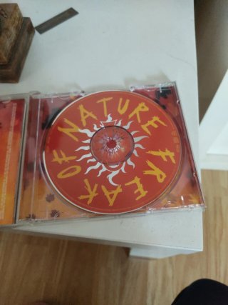 CD Anastacia - Freak of Nature