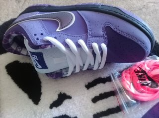 Nike Dunk Low Lobster Purple
