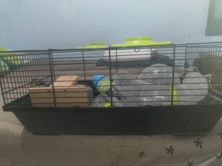 Jaula para Roedores con Accesorios
