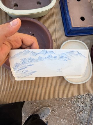 Lote  Macetas para Bonsái