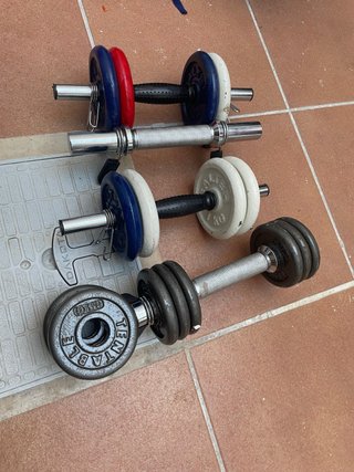 Mancuernas ajustables con discos