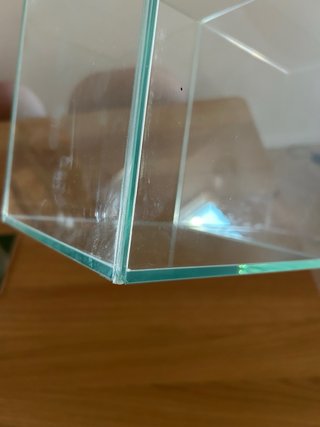 Pecera de Cristal 10 Litros