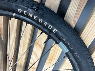 Ruedas Boost Carbono 29” CrankBrothers nine indust