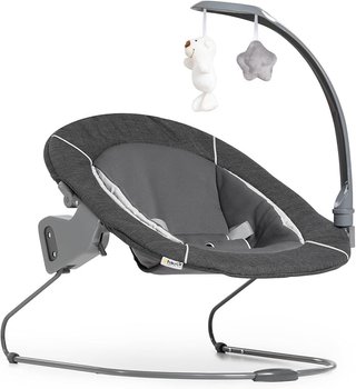 Hamaca Hauck Alpha Bouncer Deluxe 2-1