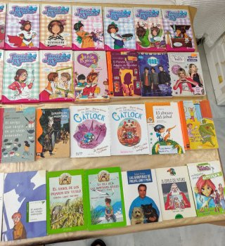LOTE 43 LIBROS INFANTILES Y JUVENILES DE LAS FOTOS