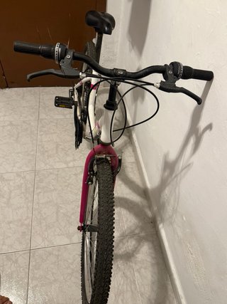 Bicicleta Denbike 24