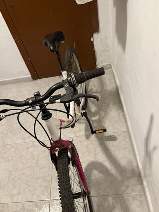 Bicicleta Denbike 24