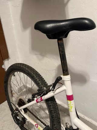 Bicicleta Denbike 24