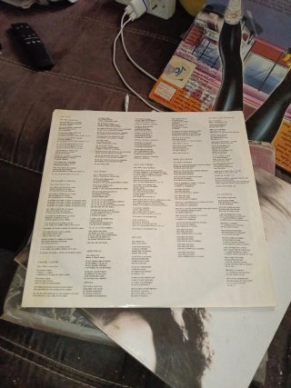 Vinilo Rocio Saiz de Ley