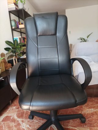 Silla de Escritorio con Ruedas
