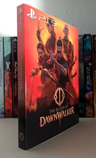 Funda Plastificada The Blood of Dawnwalker