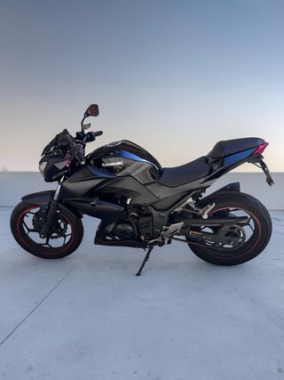 Kawasaki Z300 (2017)