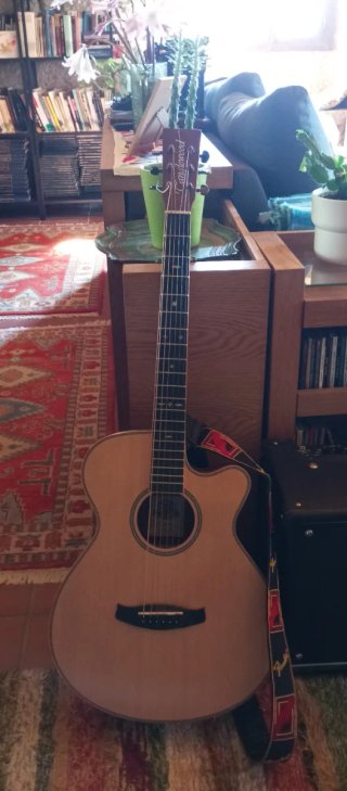 Guitarra Acústica Tanglewood