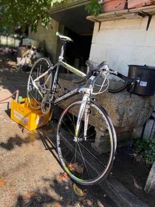 Bicicleta de Carretera Merida Scultura 904 Evo