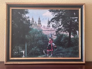 Foto Lámina Vintage Enmarcada de Compostela
