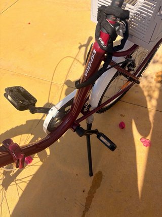 Bicicleta Plegable Esperia Granate