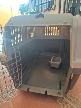 Transportín para animales