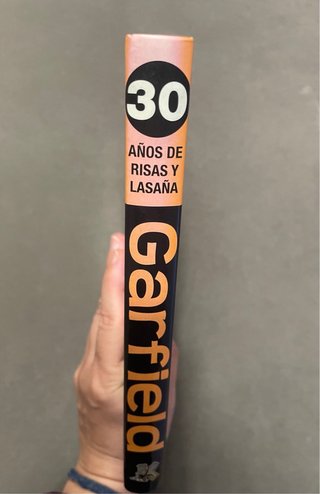 Comics Recopilatorios Garfield