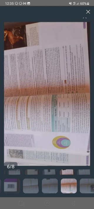 Historia de la Filosofía, 2 Bachillerato, Genio...